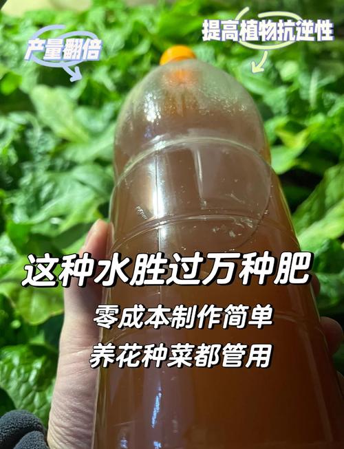 水培植物放什么肥料好?六步教你科学施肥,告别黄叶烂根 换容器与营养液更新:为根系提供生长空间