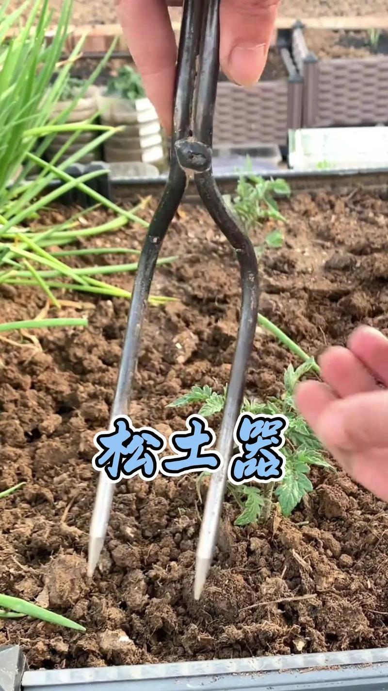怎么给花松土不伤根?掌握这5个技巧,根系安全又透气 选对工具,事半功倍