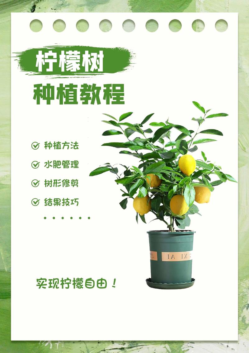 夏天适合种什么水果?这份种植指南让你丰收整个夏天 一、适宜时间