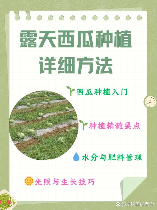 夏天适合种什么水果?这份种植指南让你丰收整个夏天 四、栽植深度