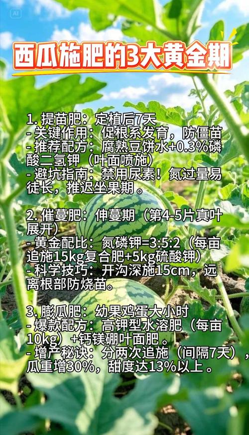 夏天适合种什么水果?这份种植指南让你丰收整个夏天 三、栽前处理