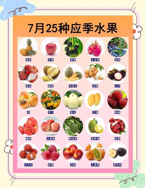 夏天适合种什么水果?这份种植指南让你丰收整个夏天 六、缓苗管理