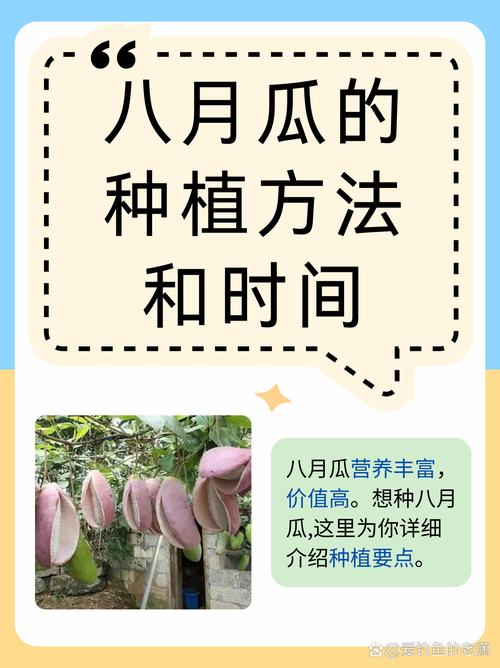 夏天适合种什么水果?这份种植指南让你丰收整个夏天 七、成活注意事项