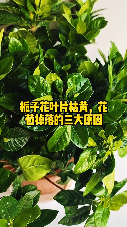 总结与预防