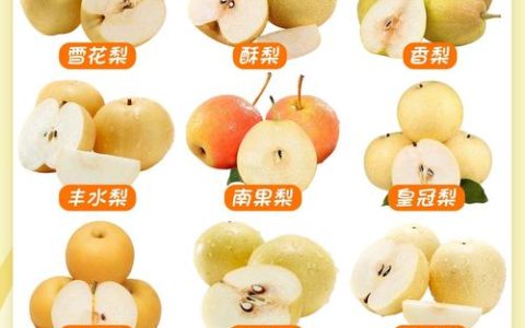 苏翠一号梨品种介绍：早熟、高产、口感脆甜的优质梨树品种