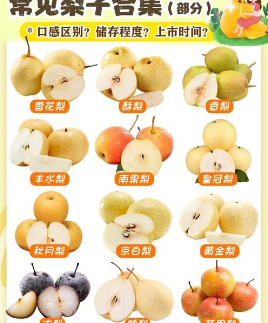 苏翠一号梨品种介绍：早熟、高产、口感脆甜的优质梨树品种