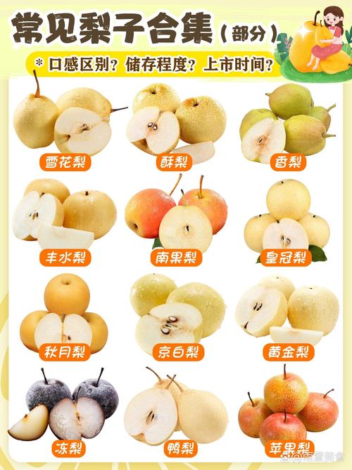 苏翠一号梨品种介绍:早熟、高产、口感脆甜的优质梨树品种 苏翠一号梨品种介绍:早熟、高产、口感脆甜的优质梨树品种