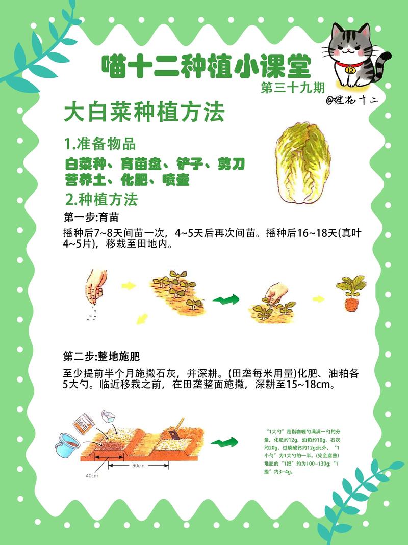 家里种青菜怎么种?从播种到收获的全流程指南 一、准备工作:品种选择与播种时间