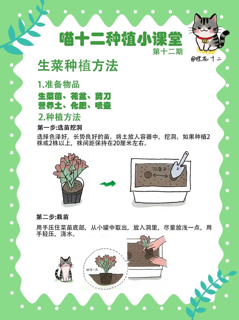 家里种青菜怎么种?从播种到收获的全流程指南 四、出苗期管理:光照与水分