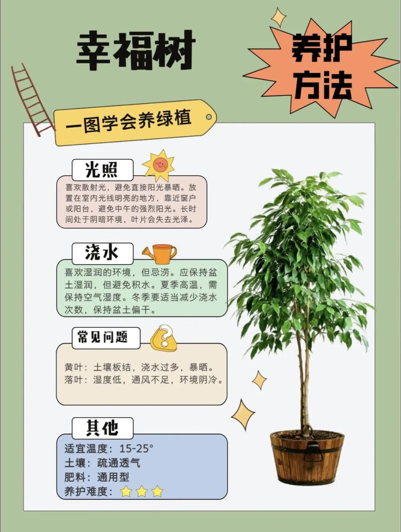 幸福树扦插繁殖全攻略:从基质配制到移栽的精细操作指南 二、基质配制与消毒