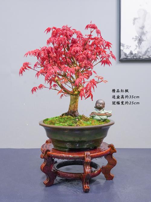 常见问题与预防