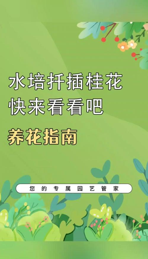 水培桂花快速生根核心操作指南 四、家庭水培推荐配置清单