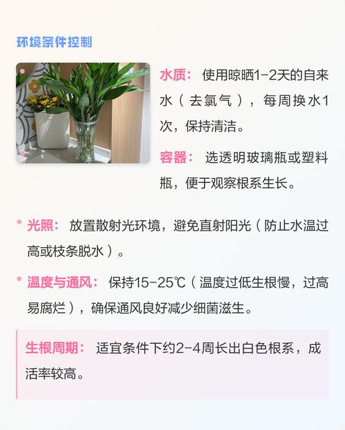 水培桂花快速生根核心操作指南 七、FAQ