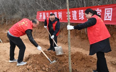 西安植树节去哪里植树？2025年最新植树地点与活动指南