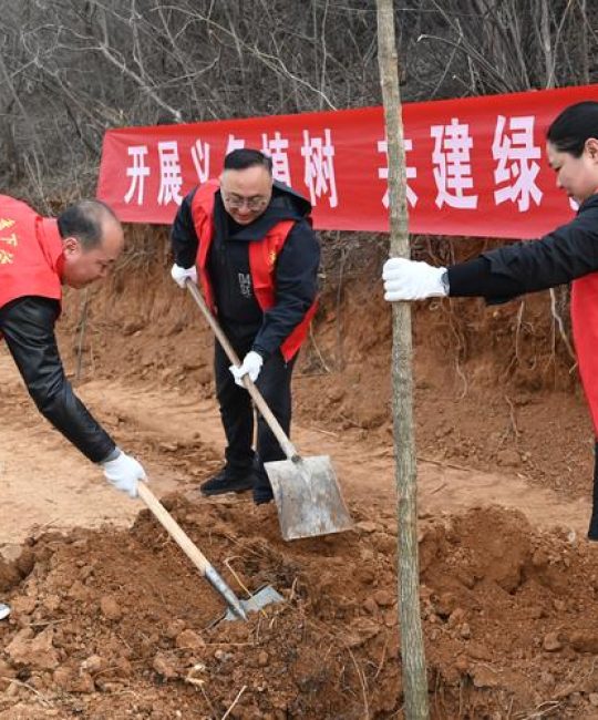 西安植树节去哪里植树？2025年最新植树地点与活动指南