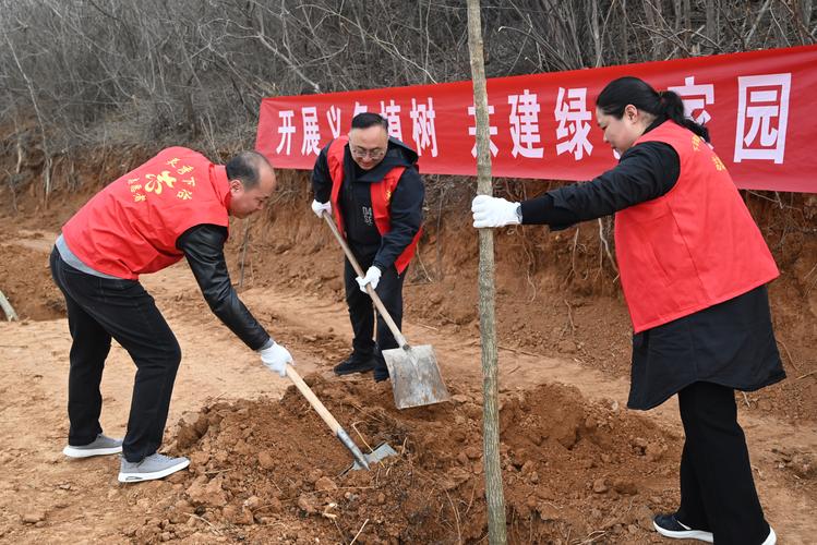 西安植树节去哪里植树?2025年最新植树地点与活动指南 一、官方主导的规模化植树基地