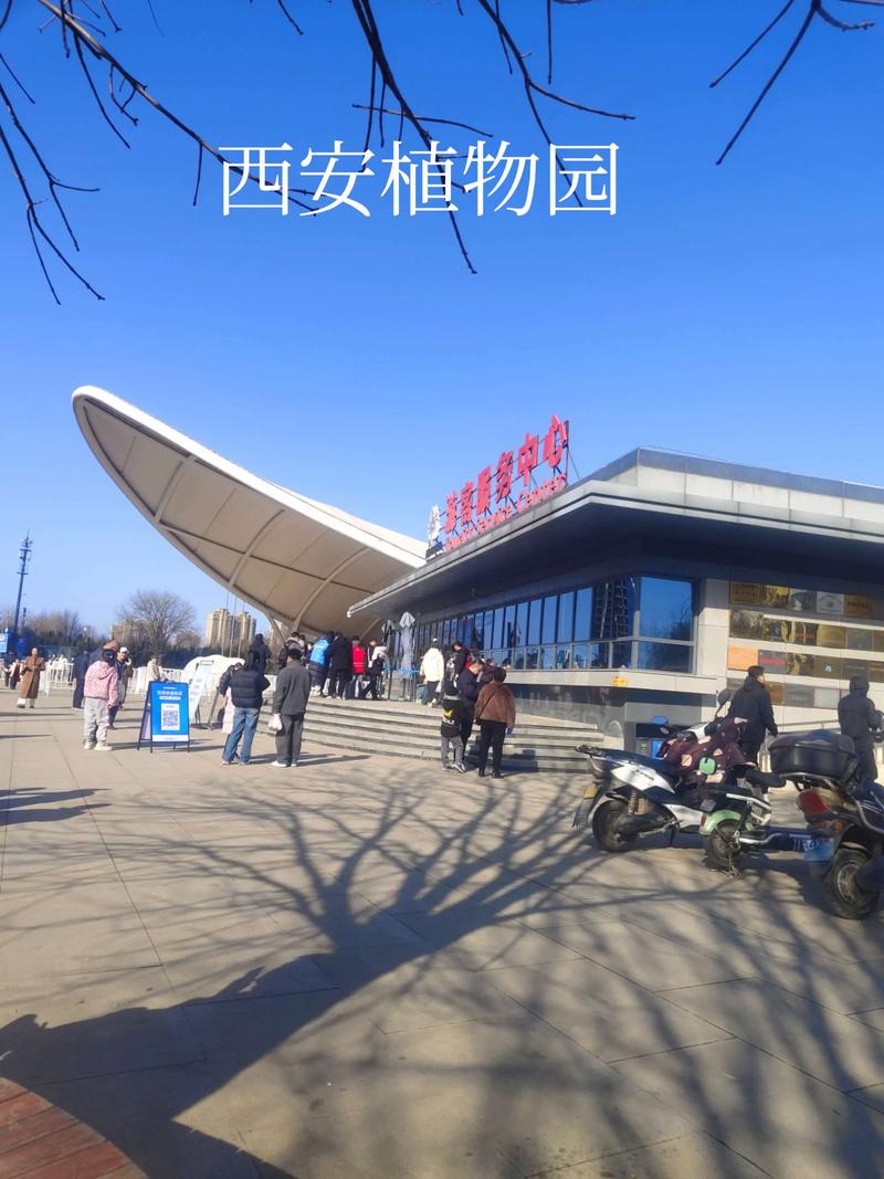 西安植树节去哪里植树?2025年最新植树地点与活动指南 三、特色植树体验:田园与山野