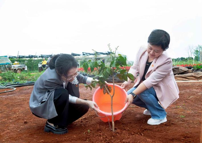 西安植树节去哪里植树?2025年最新植树地点与活动指南 二、城市公园与社区绿地认种认养