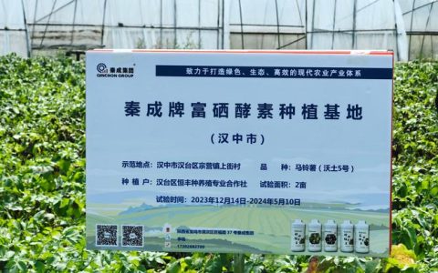 种植哪个牌子好？从栽植全流程看工具与资材的实用选择指南