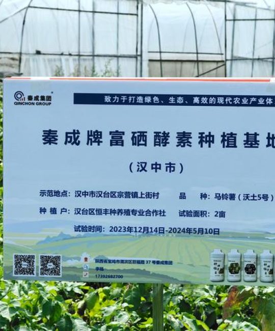 种植哪个牌子好？从栽植全流程看工具与资材的实用选择指南