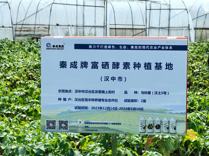 种植哪个牌子好？从栽植全流程看工具与资材的实用选择指南