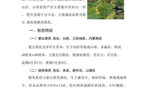 黄芪种子育苗全流程技术指南：从硬实处理到幼苗移栽