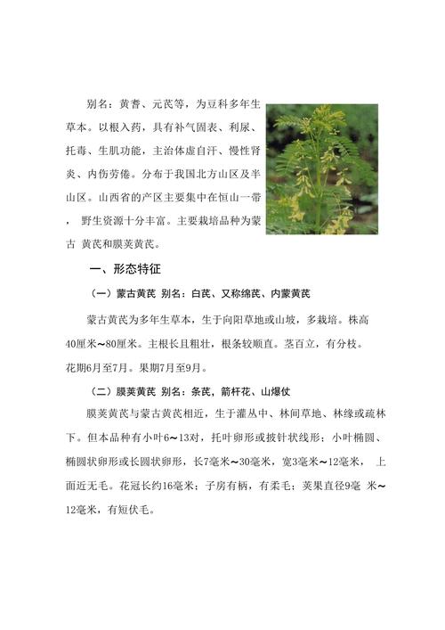 一、品种确认与繁殖方式筛选