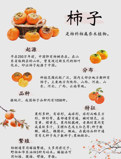 常见误区：环剥越宽效果越好？环剥后不用管？