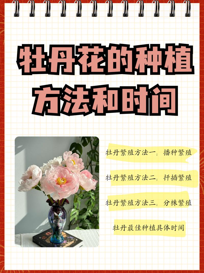 四、栽植深度
