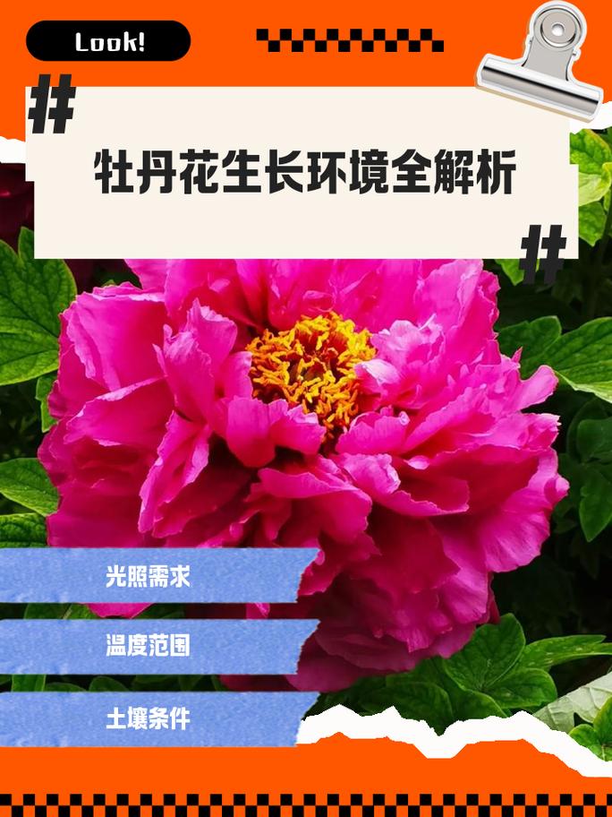 七、成活注意事项