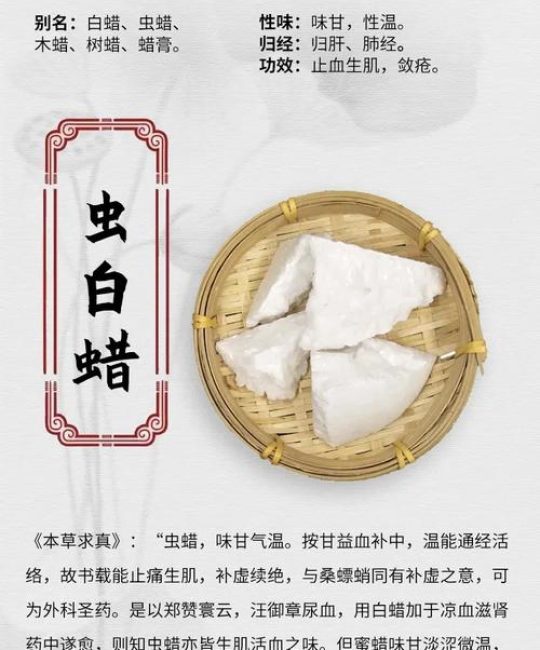 虫白蜡是什么药材？功效与作用详解