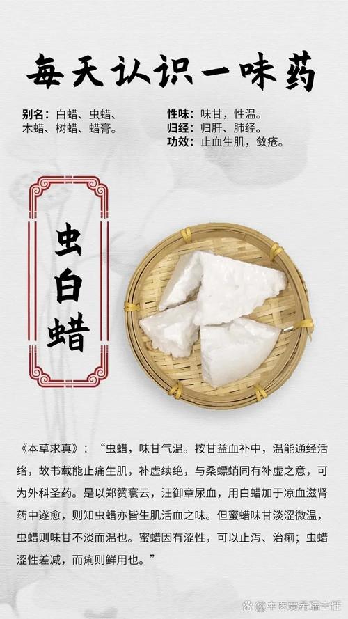 虫白蜡是什么药材?功效与作用详解 虫白蜡是什么药材?功效与作用详解