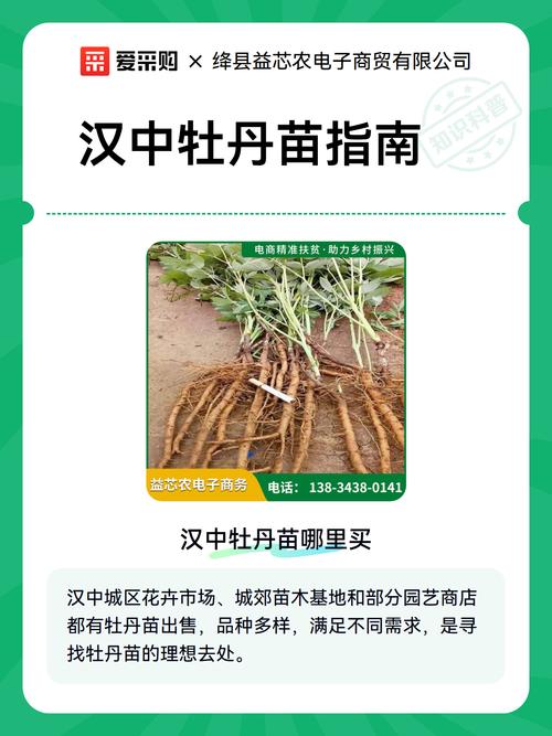 五年的牡丹苗多少钱?2026年牡丹苗木价格参考与选购指南 五、运输因素:物流成本占比10%-30%