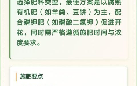 桂花树养护全攻略：从浇水到换盆，手把手教你养出满树金黄