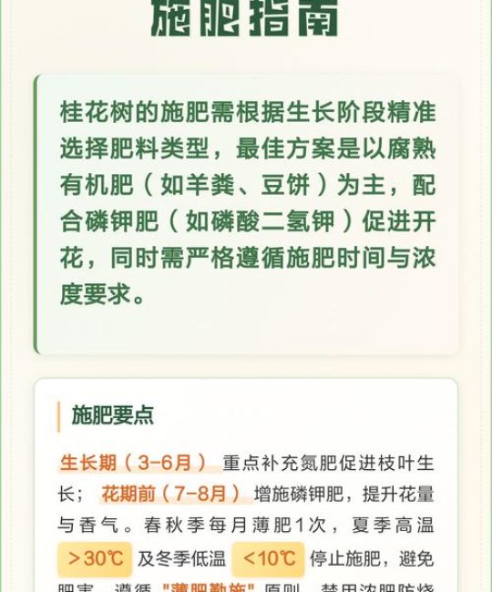 桂花树养护全攻略：从浇水到换盆，手把手教你养出满树金黄