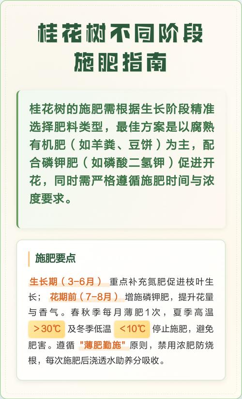 桂花树养护全攻略：从浇水到换盆，手把手教你养出满树金黄