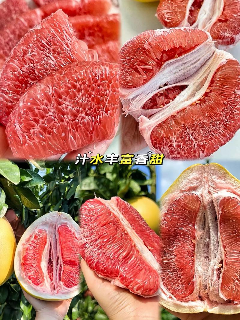 柚子树苗采购指南:如何通过可验证标准找到优质供应商 规格测量必须可量化