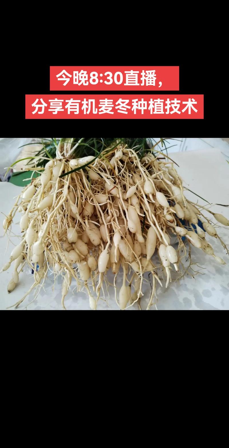 五、总结