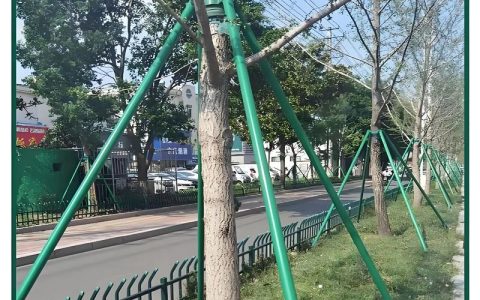 树木支撑架怎么计算？园艺施工中的科学配比与实用方法