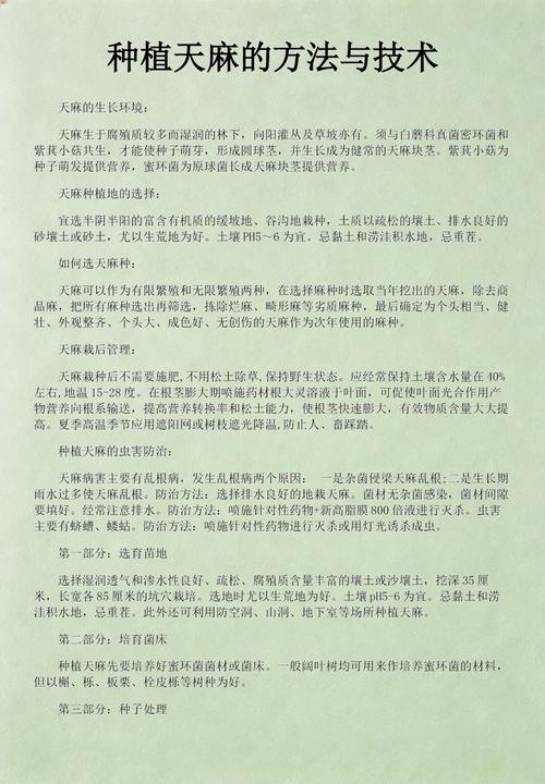天麻种子如何种植?从选种到成活的完整操作规程 三、栽前处理