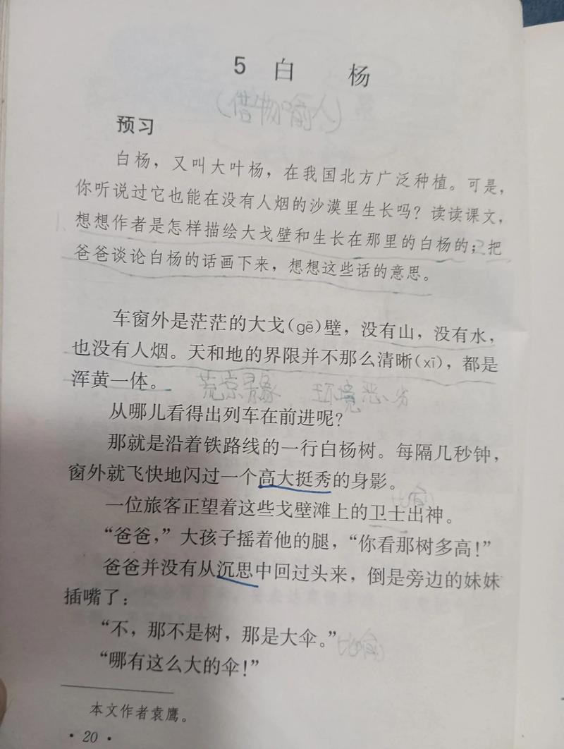 二、为什么只有杨树“絮”量惊人？