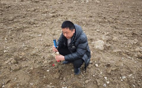 土壤板结怎么处理？3步快速改良法