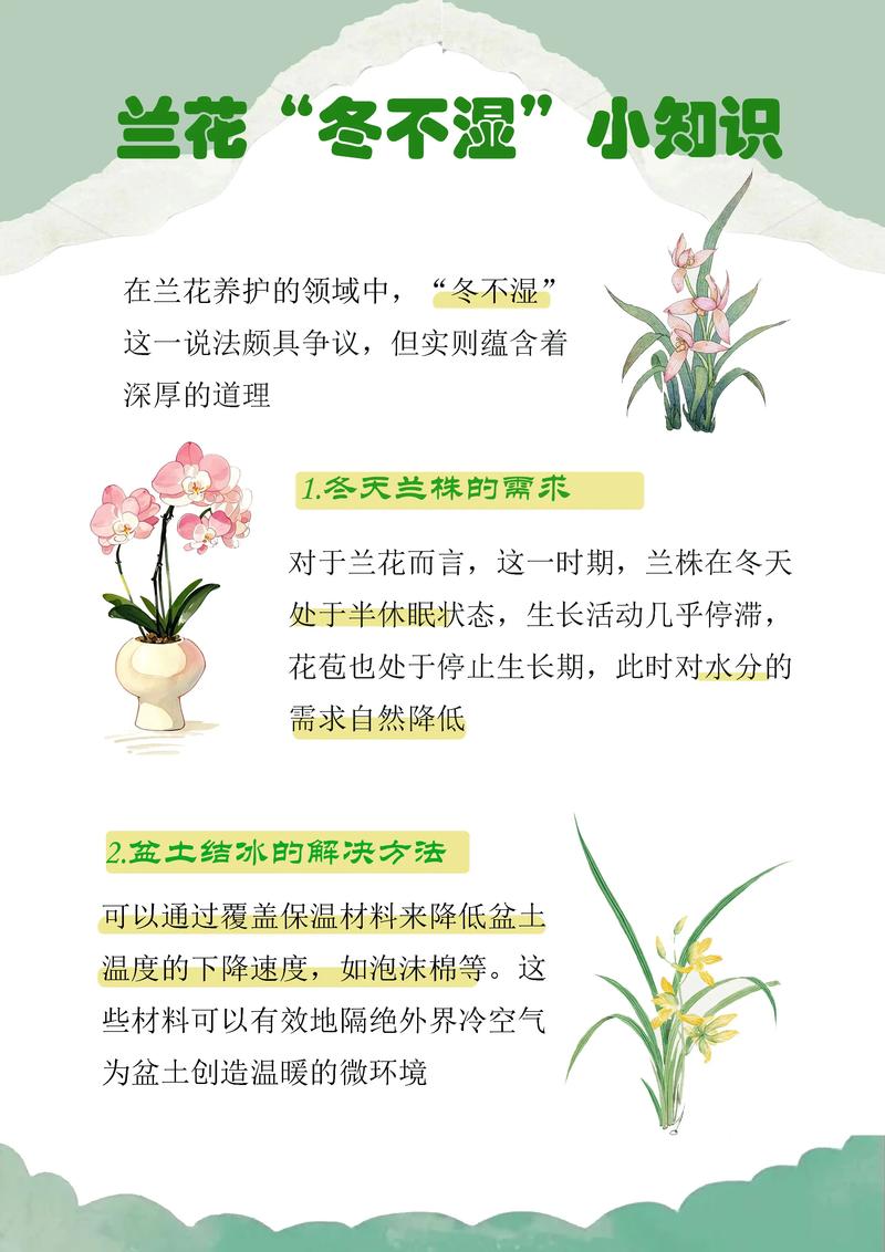 蓝花楹生长速度与全冠移栽养护指南:树形、遮荫与庭院应用详解 蓝花楹生长速度:年生长量与关键影响因素