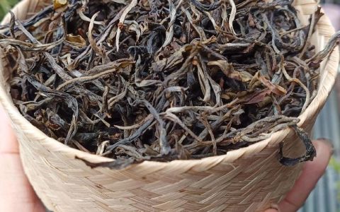 景迈山古树茶价格解析：2024年市场参考与影响因素分析