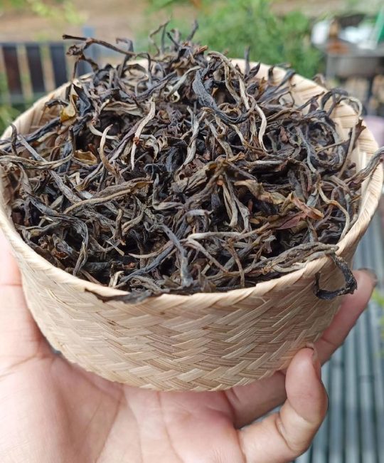 景迈山古树茶价格解析：2024年市场参考与影响因素分析