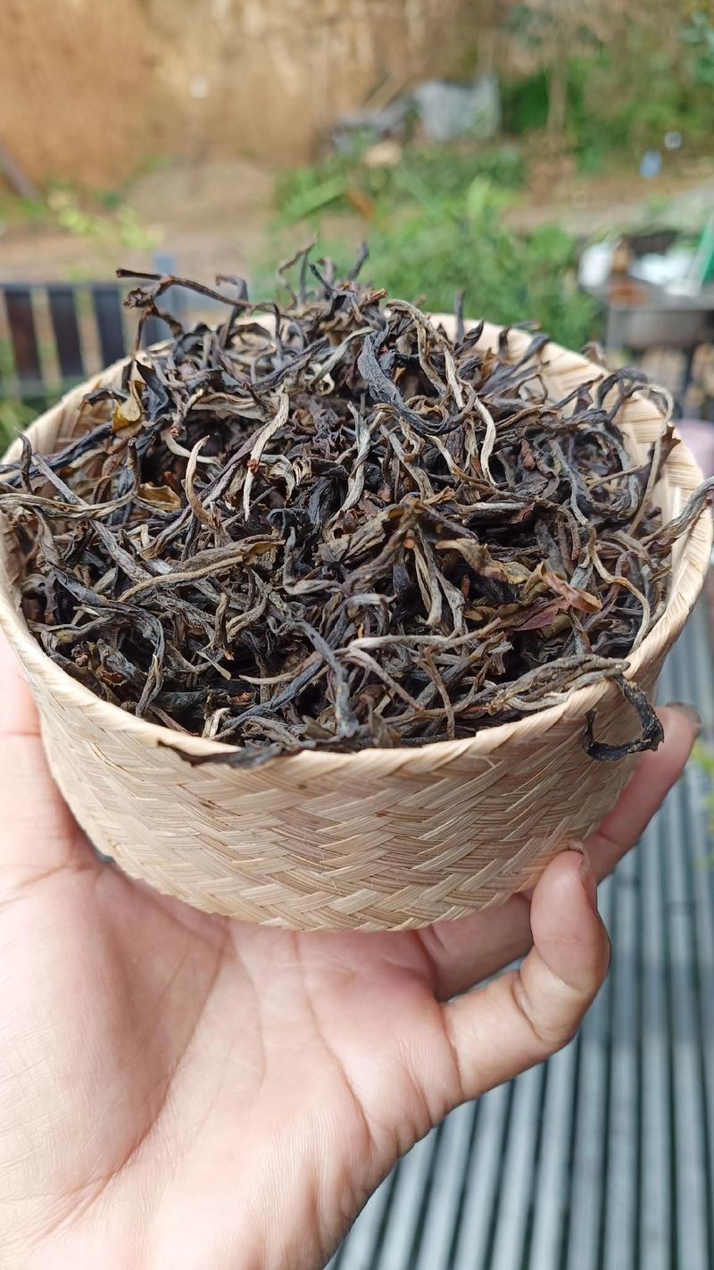 景迈山古树茶价格解析:2024年市场参考与影响因素分析 规格:树龄与形态决定价格上限