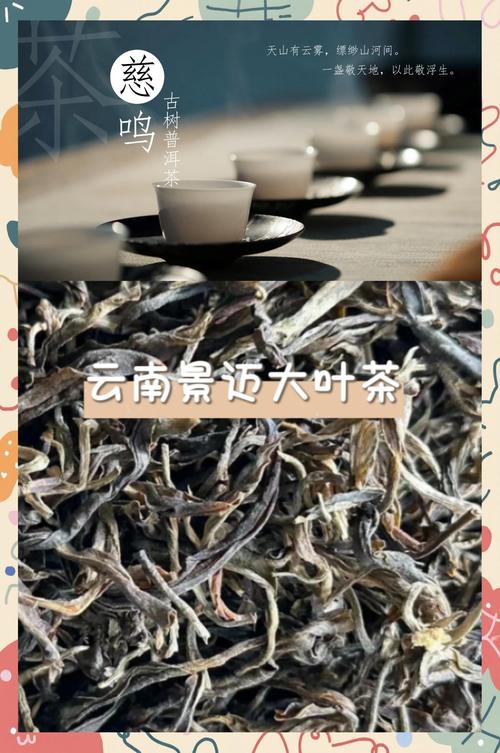 景迈山古树茶价格解析:2024年市场参考与影响因素分析 咨询指南:如何获取精准报价?