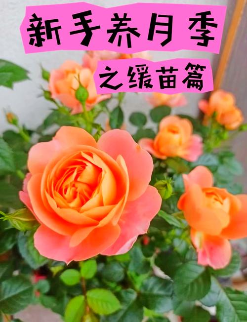 常见误区与纠正