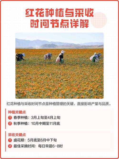 二、土壤环境要求
