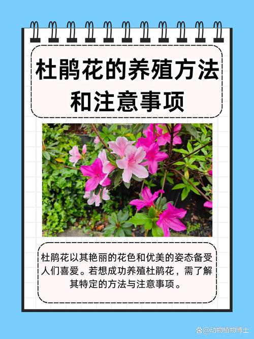 四、栽植深度